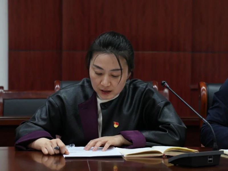 山东力明科技职业学院党委召开全面从严治党暨清廉学校建设工作推进会